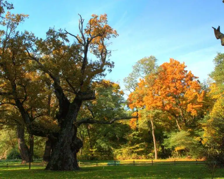 mindset - état d'esprit