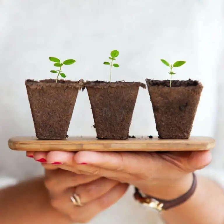 Développement personnel Coaching de vie