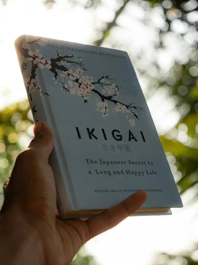 Ikigai coaching